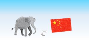 ゾウとアリと中国国旗