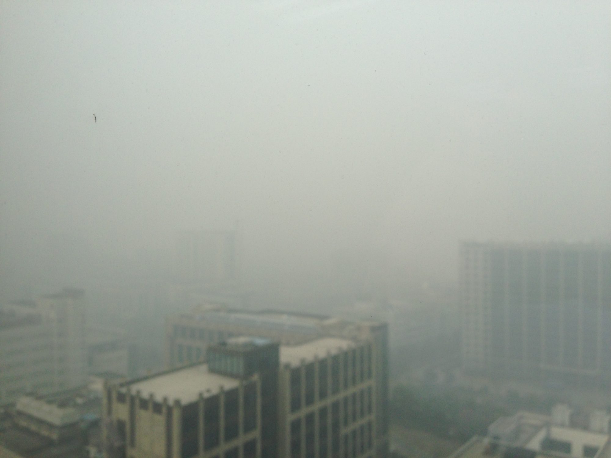 上海市内ビルの20階から撮影　この時PM2.5は800越え