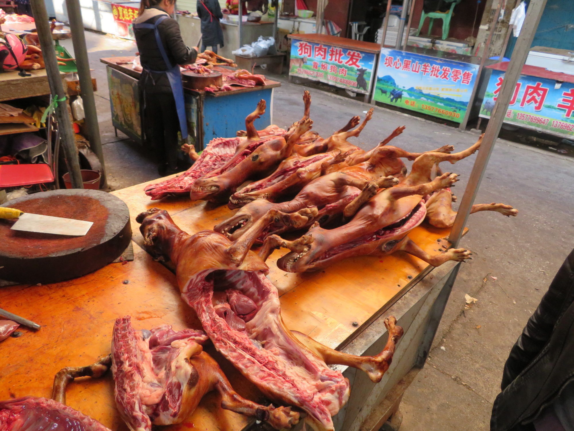 地方都市の市場で普通に売られている犬肉。
